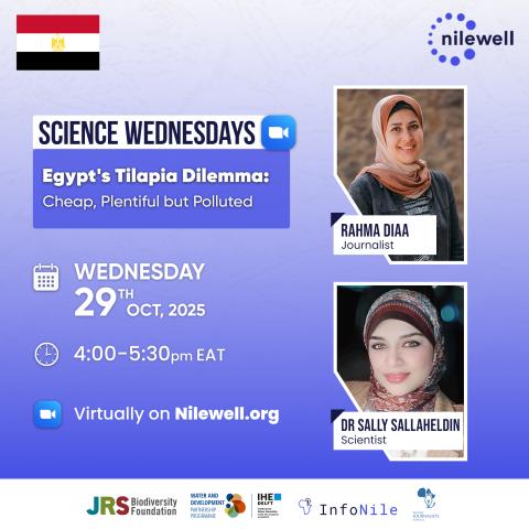 Egypt's Tilapia Dilemma