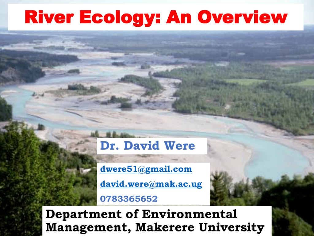 River Ecology